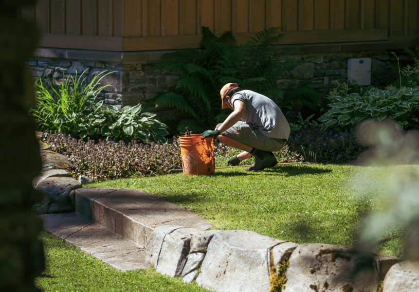 Landscaping project by Pika Landscapes in Whistler BC