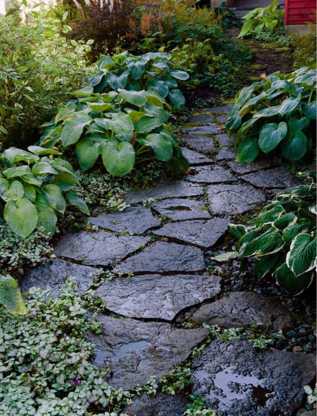 Fitzsimmons hosta shade garden stone path