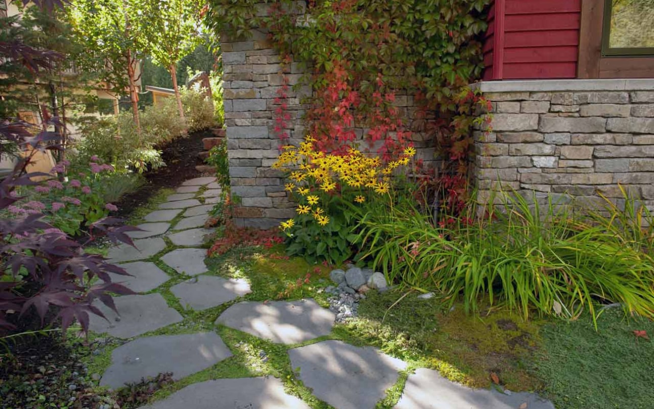 Fitzsimmons stone pathway foundation planting
