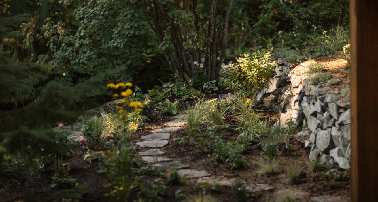 Native shrub garden path boulder edge