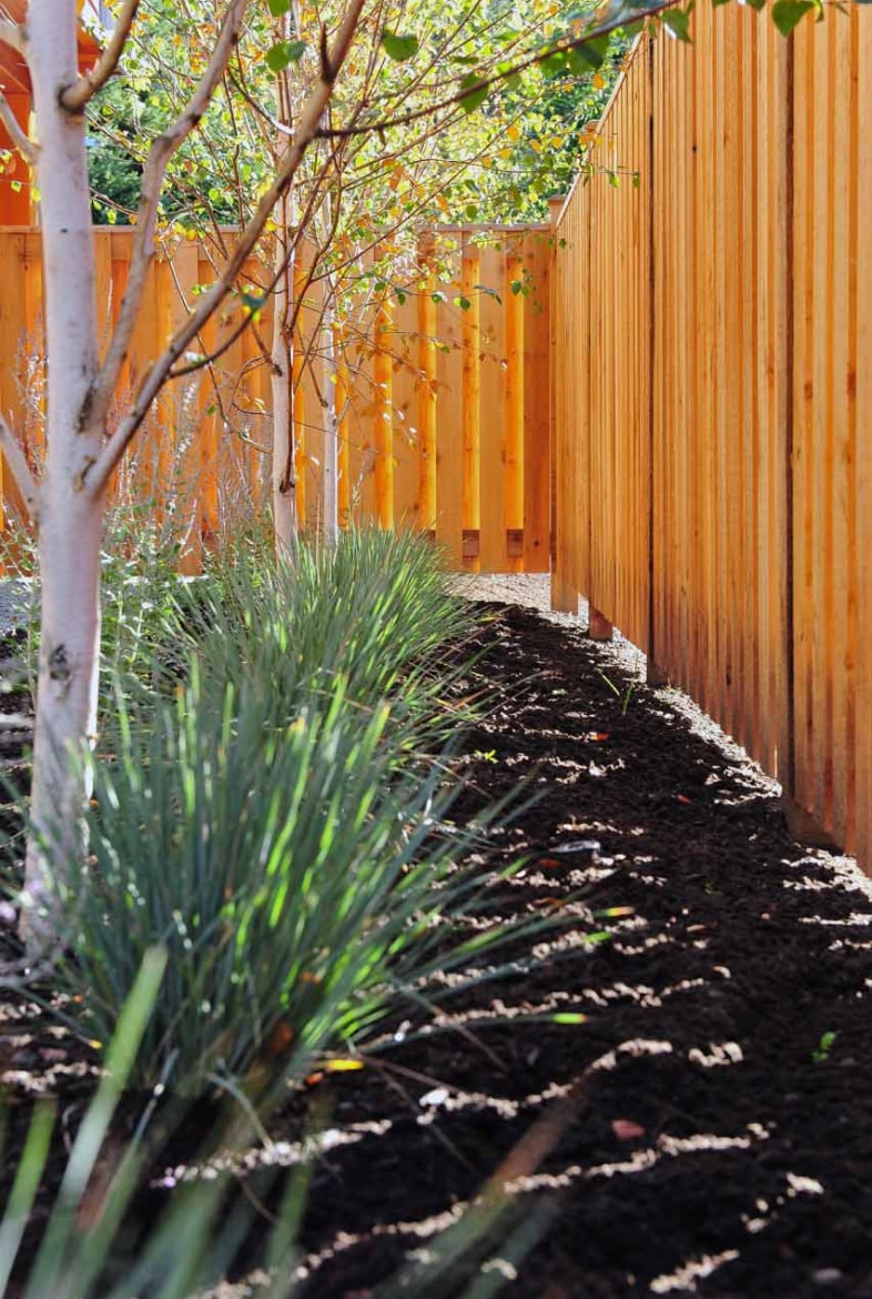 Tony Sailor cedar fence planting bed